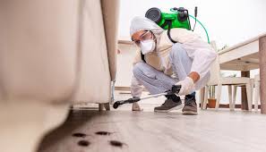 Pest Control for Hotels in Seffner, FL